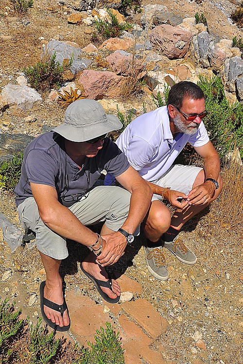 Dr. Walter Häfele - Einblicke