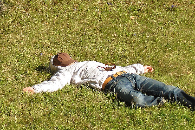 Dr. Walter Häfele - Seminare